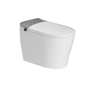 Smart Toilet with Tank Built In, One Piece Bidet Toilet, Instant Warm Water, Heated Seat, Foam Shield, Sensor to Open/Close/Flush, ADA Height (Systm: D07)