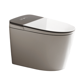Luxury Tankless Smart Toilet with Bidet Built in, One Piece Bidet Toilet, Instant Warm Water, Heated Seat, Foam Shield, Warm Air Dryer (Function: T193-Pro)