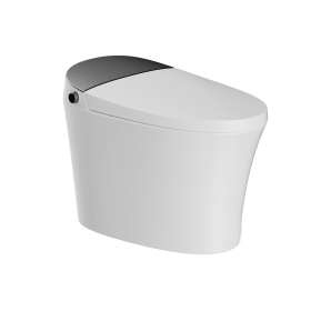 Smart Toilet with Bidet Built in,Elongated Heated Toilet Seat with Tank, Instant Warm Water&Air Dryer, Detachable Nozzle, Foot Sensor Open/Close (Function: D16-Good)